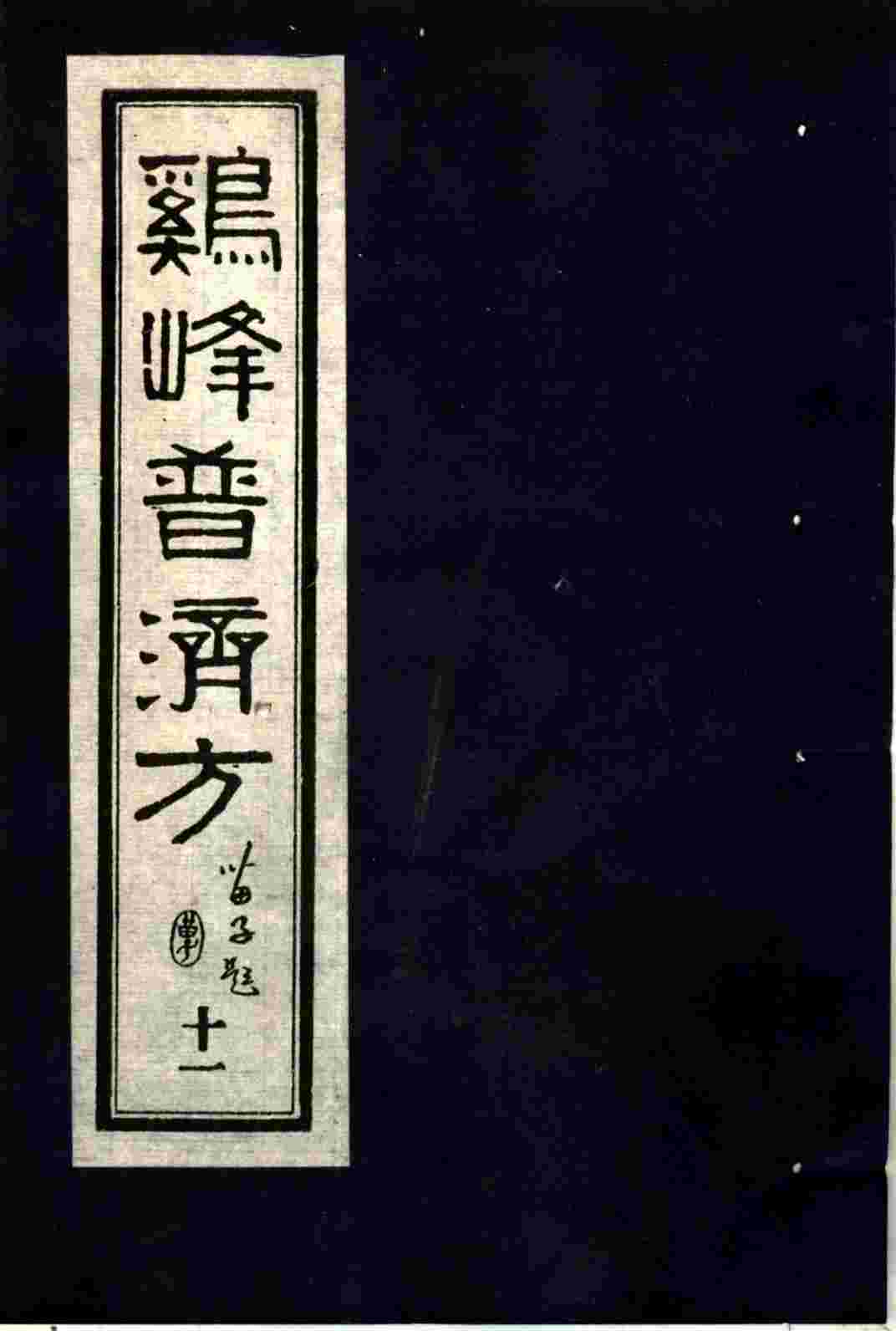 鸡峰普济方  11
